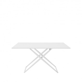 Fast Zebra Couchtisch/ Esstisch