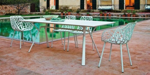 Schutzhüllen für Forest